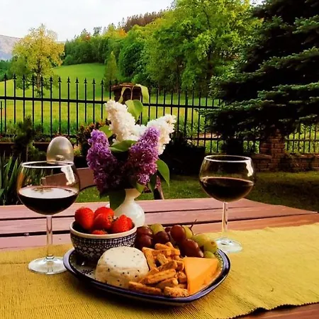 Gorski Widok I Pokoje- Salon Kominkowy