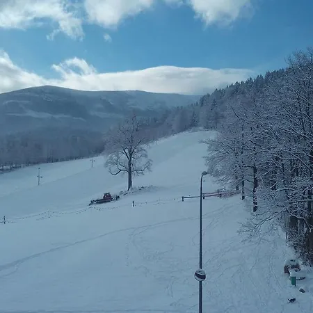 Gorski Widok I Pokoje- Salon Kominkowy Accommodatie bij particulieren