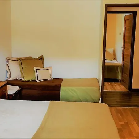 Gorski Widok I Pokoje- Salon Kominkowy * 카르파츠