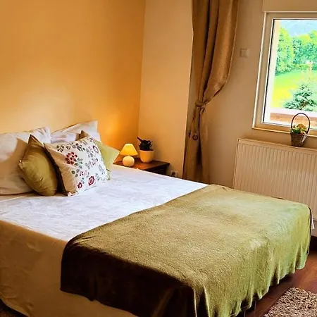 Homestay Gorski Widok Karpacz Apartamenty I Pokoje- Salon Kominkowy Karpacz