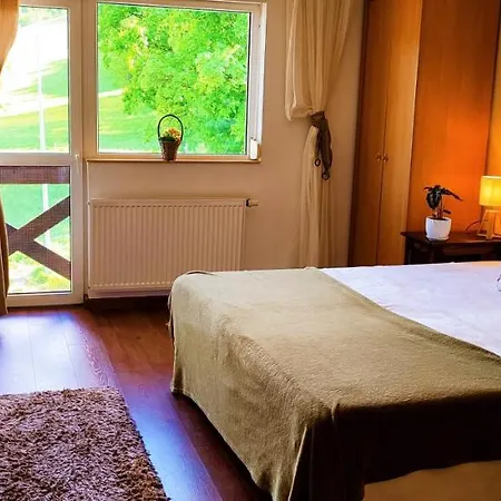 Gorski Widok I Pokoje- Salon Kominkowy * 卡尔帕奇