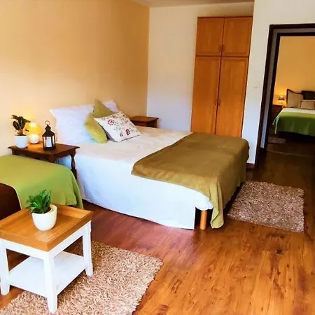 Gorski Widok I Pokoje- Salon Kominkowy 홈스테이