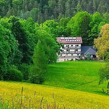 Gorski Widok I Pokoje- Salon Kominkowy 홈스테이 카르파츠