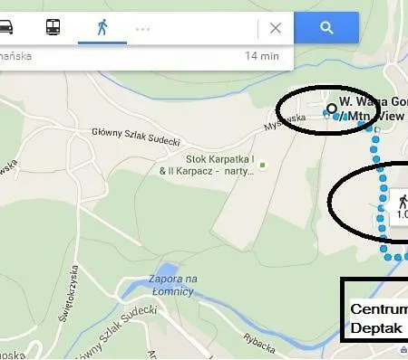 Gorski Widok I Pokoje- Salon Kominkowy * 카르파츠