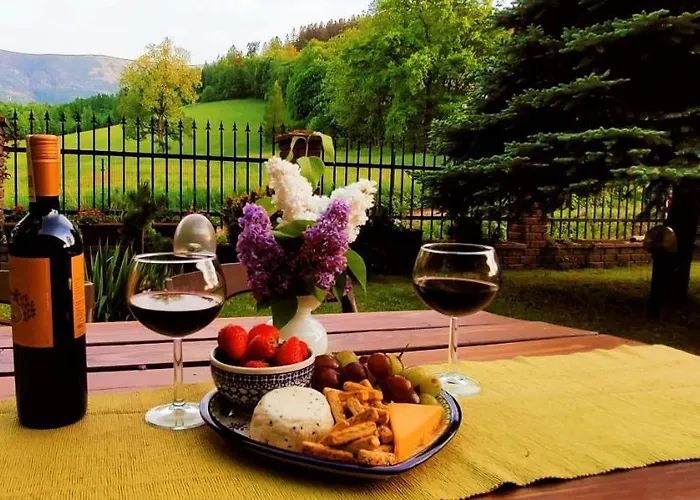 Gorski Widok Karpacz Apartamenty I Pokoje- Salon Kominkowy