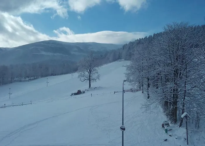 Gorski Widok Karpacz Apartamenty I Pokoje- Salon Kominkowy Homestay